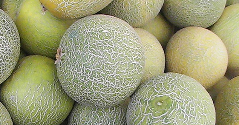 Cook Naked: How to Dice A Melon
