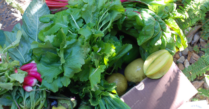 Eat fresh, eat local. How to choose a great CSA | eatnakedkitchen.com